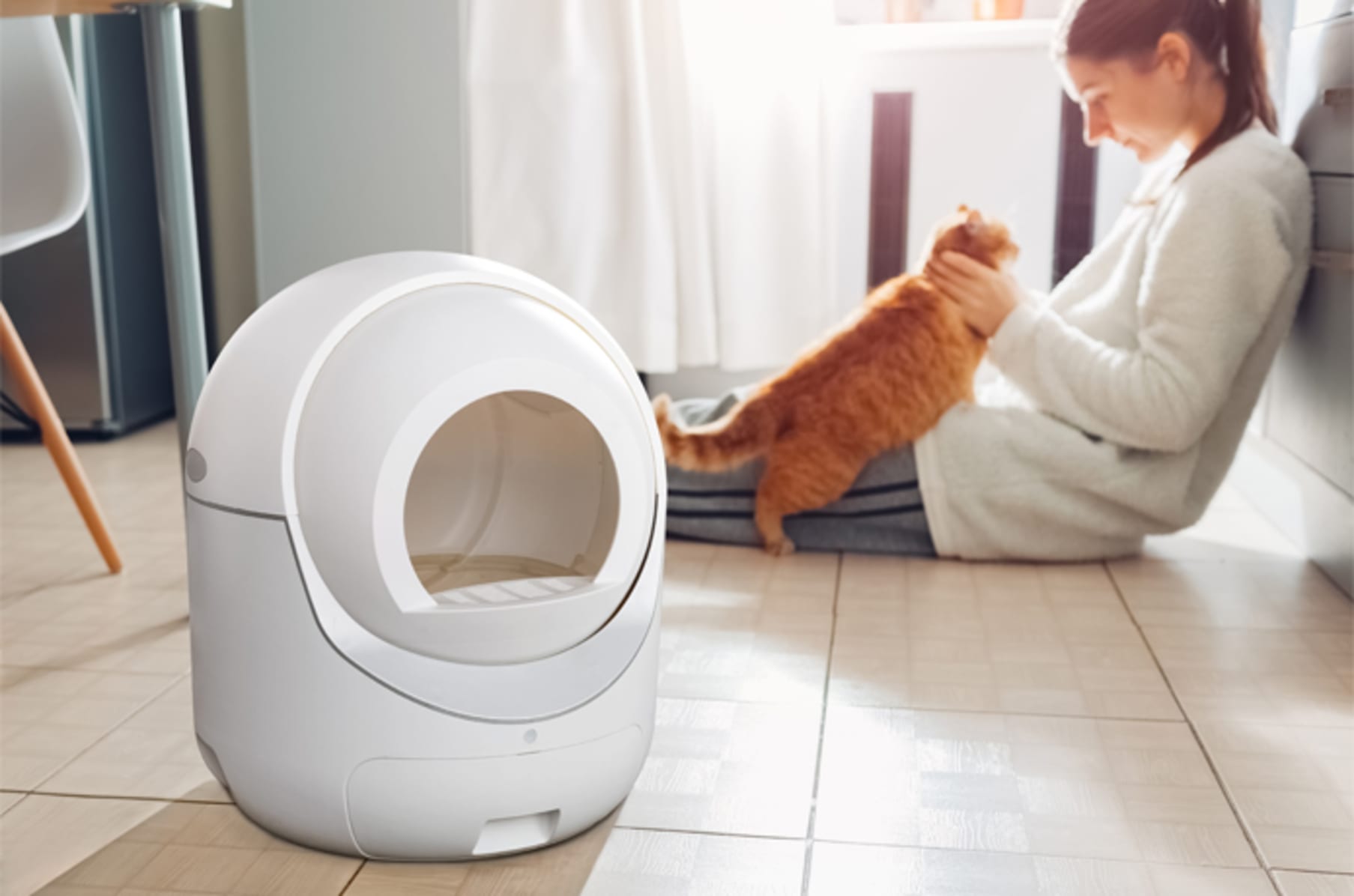 Cat igloo litter clearance tray