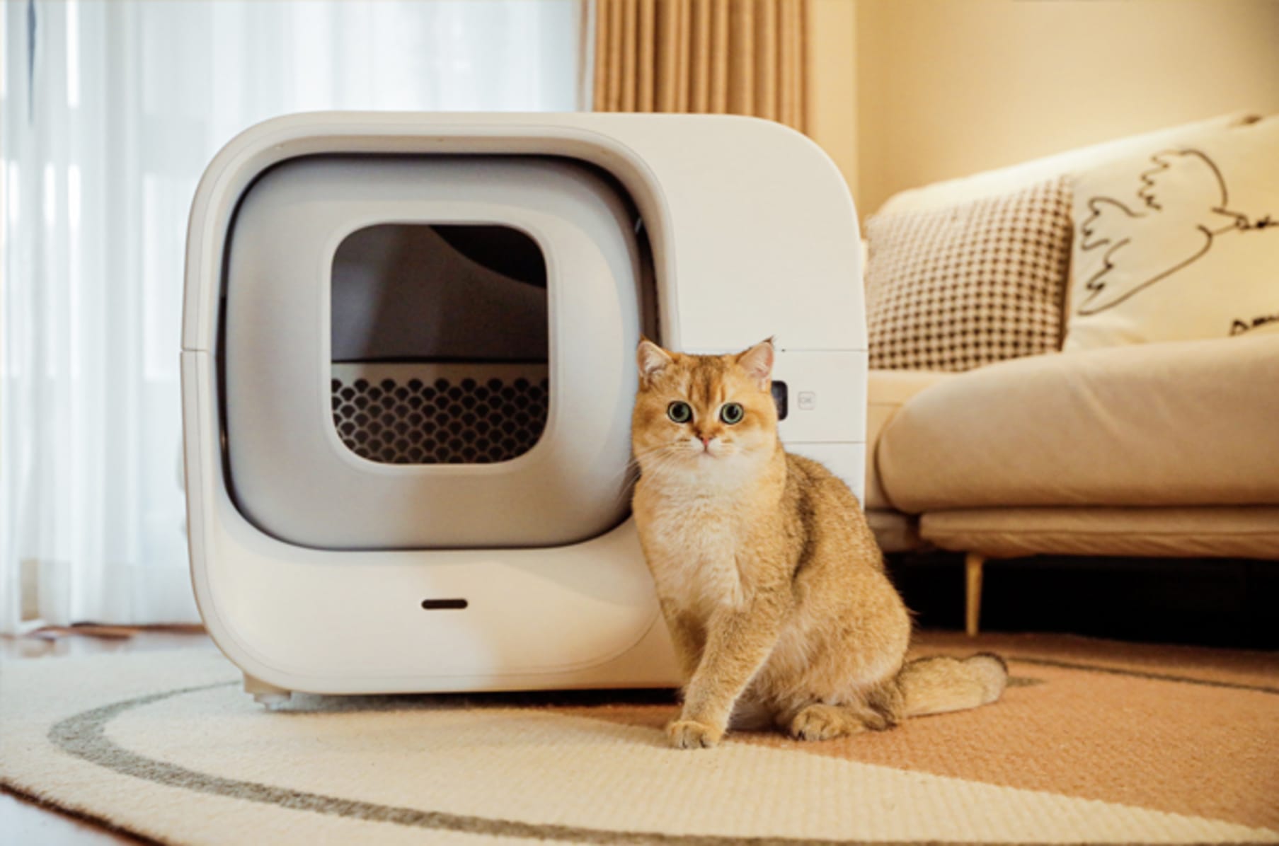 Hygo cat litter box online