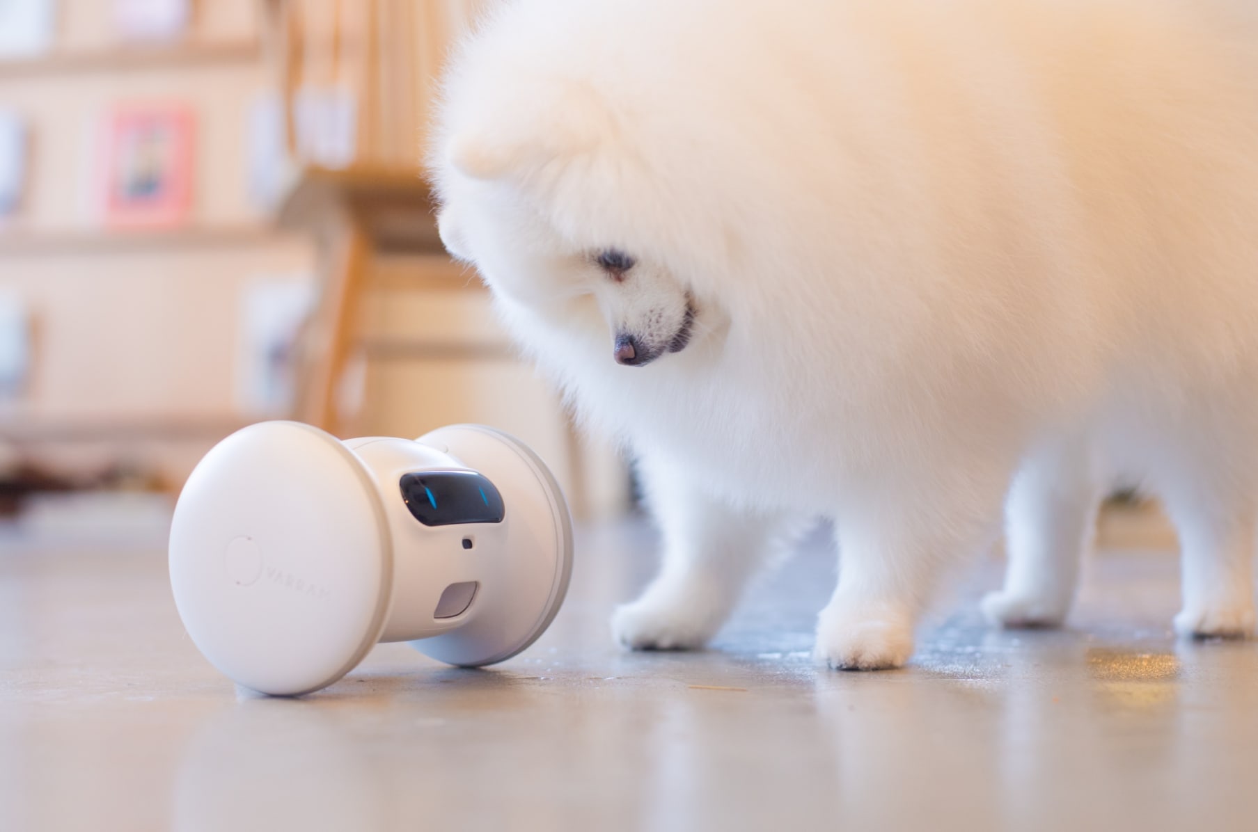A Smart Robot For Your Pet VARRAM Indiegogo