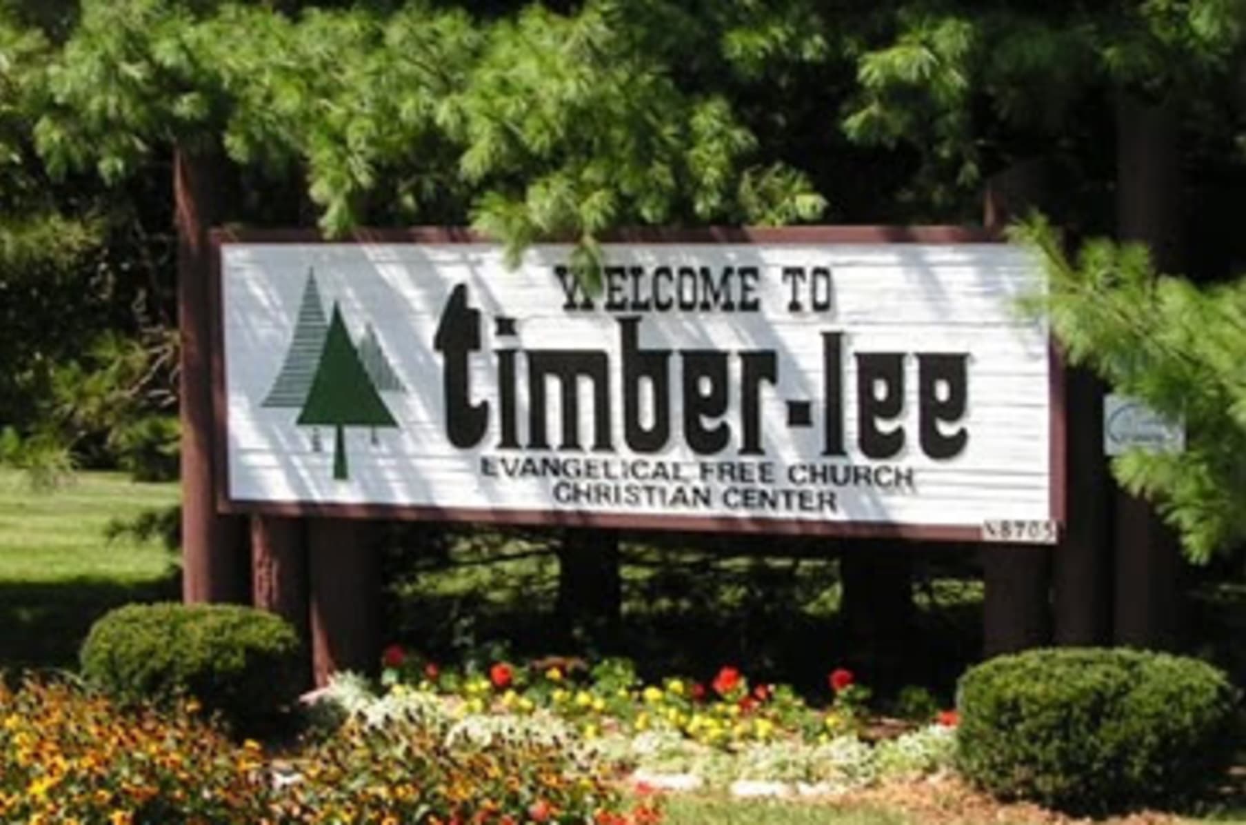 Camp Timberlee | Indiegogo