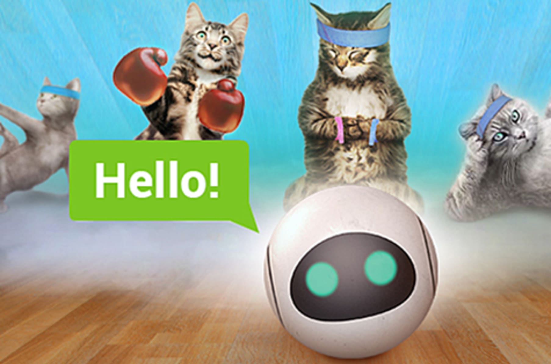 Rolly sales cat toy