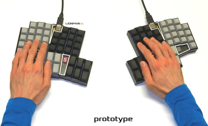 Lion Rabbit Keyboard LIONPAW | Indiegogo