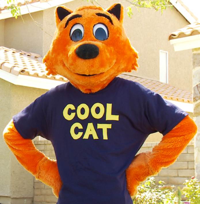 Cool Cat