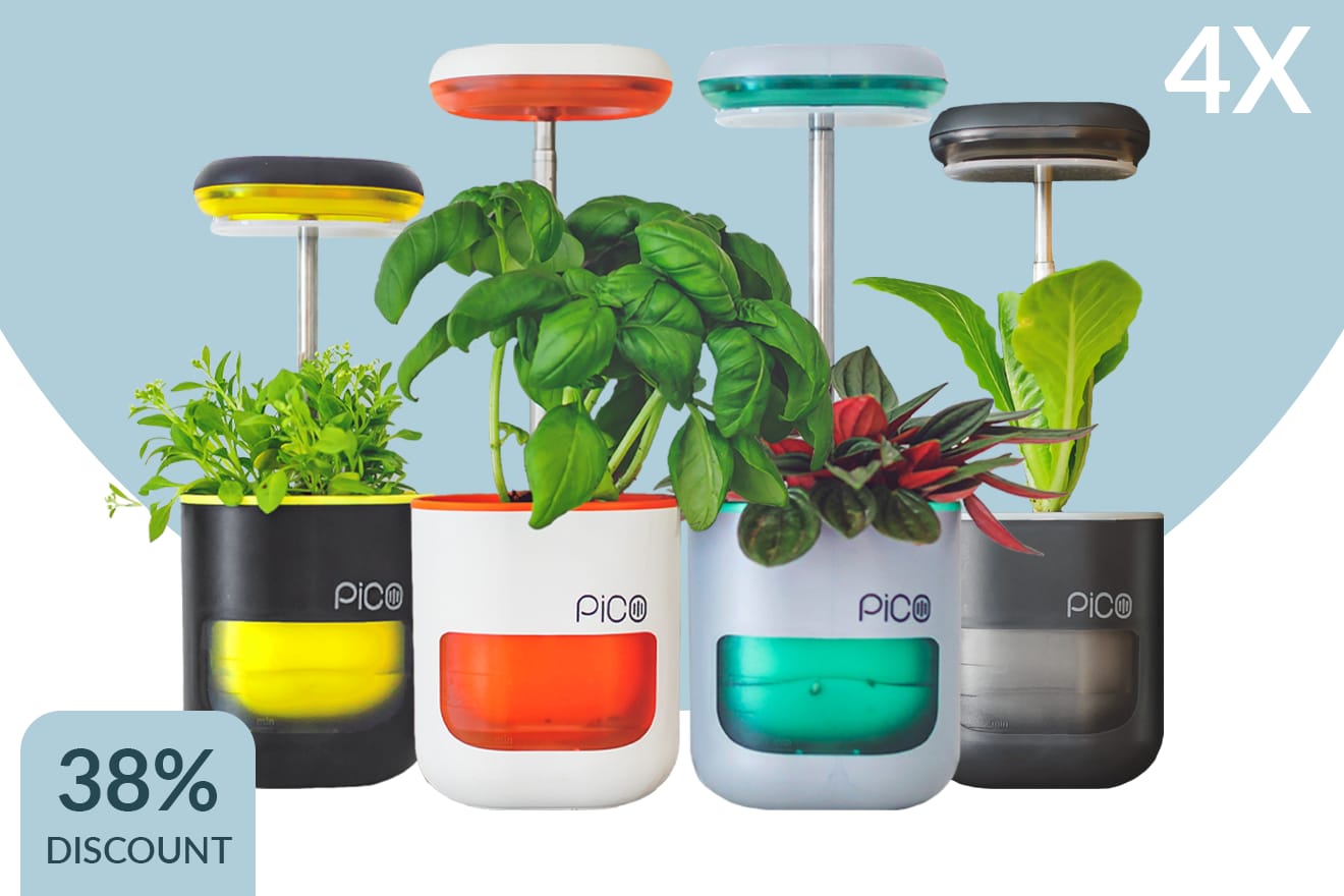 PiCO A Garden In Your Palm (White & hotsell Orange Color) ONLY