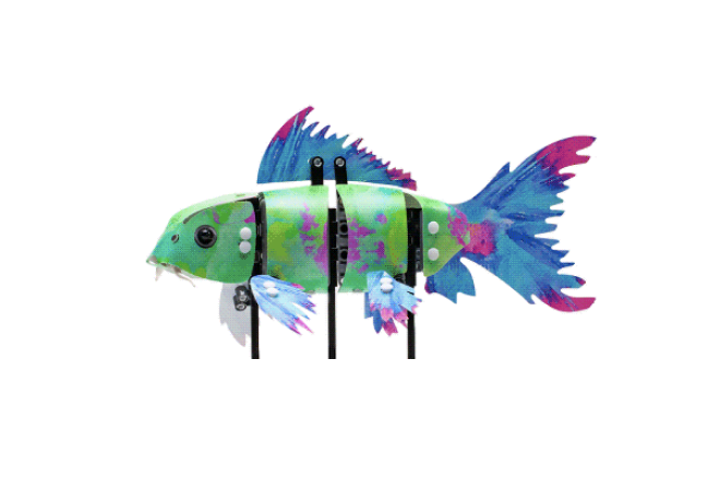 Lego for adults fish online