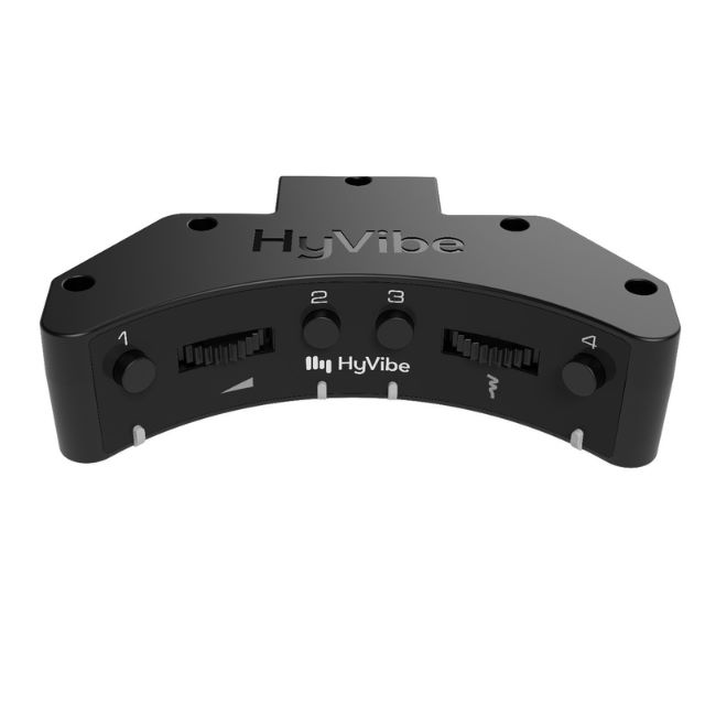 EVO bass, the acoustic EUB by ALTER EGO Indiegogo