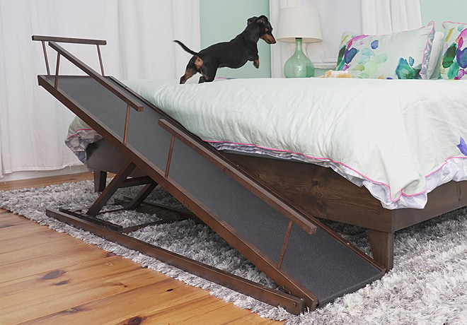 Indiegogo dog new arrivals ramp