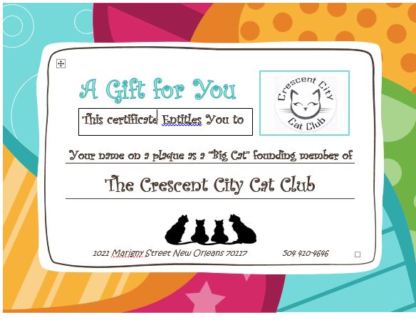 Opening The Crescent City Cat Club Indiegogo