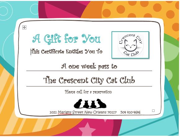 Opening The Crescent City Cat Club Indiegogo