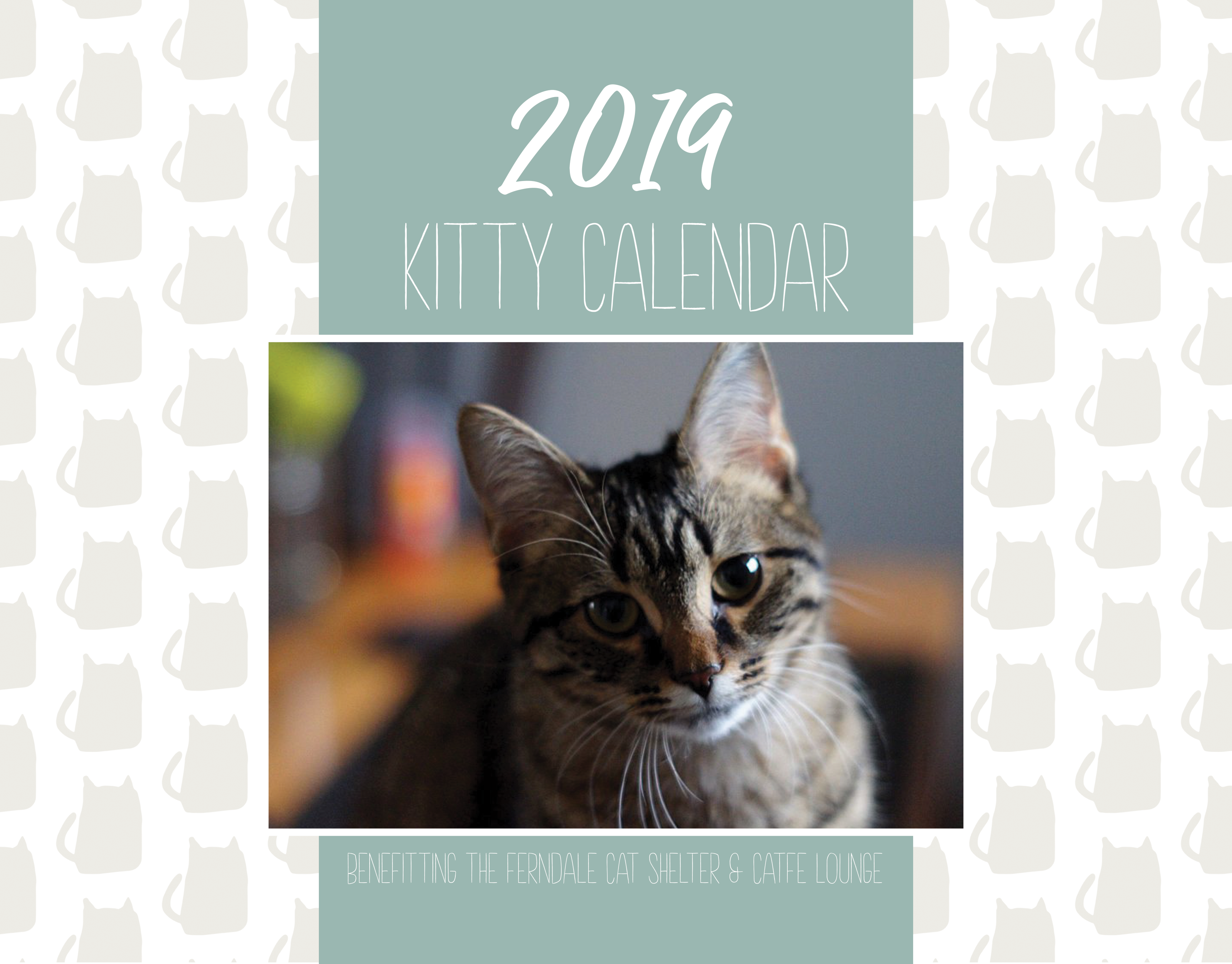 Celebrating Catfe Lounge Indiegogo