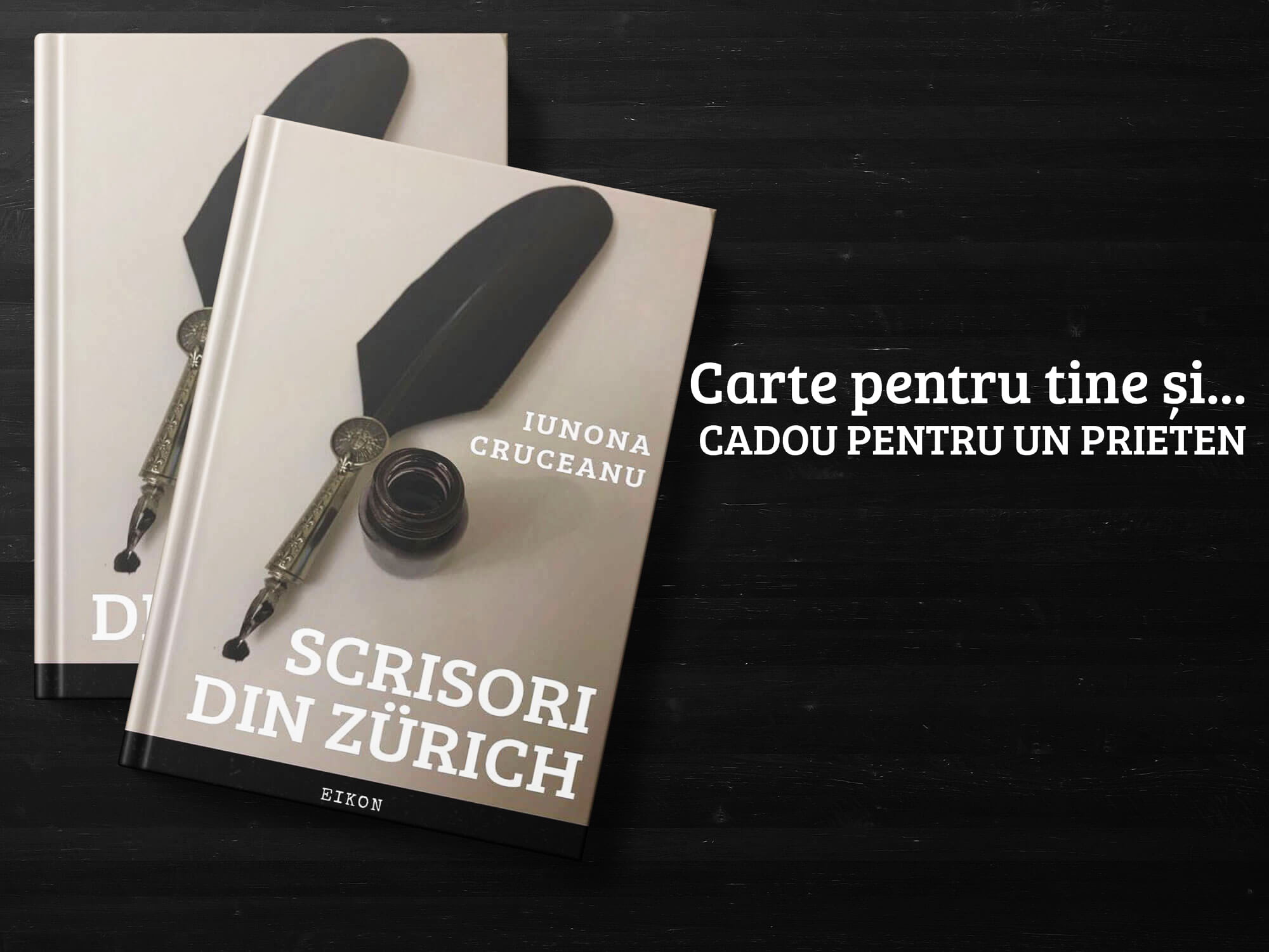 Scrisori Din Zurich Indiegogo