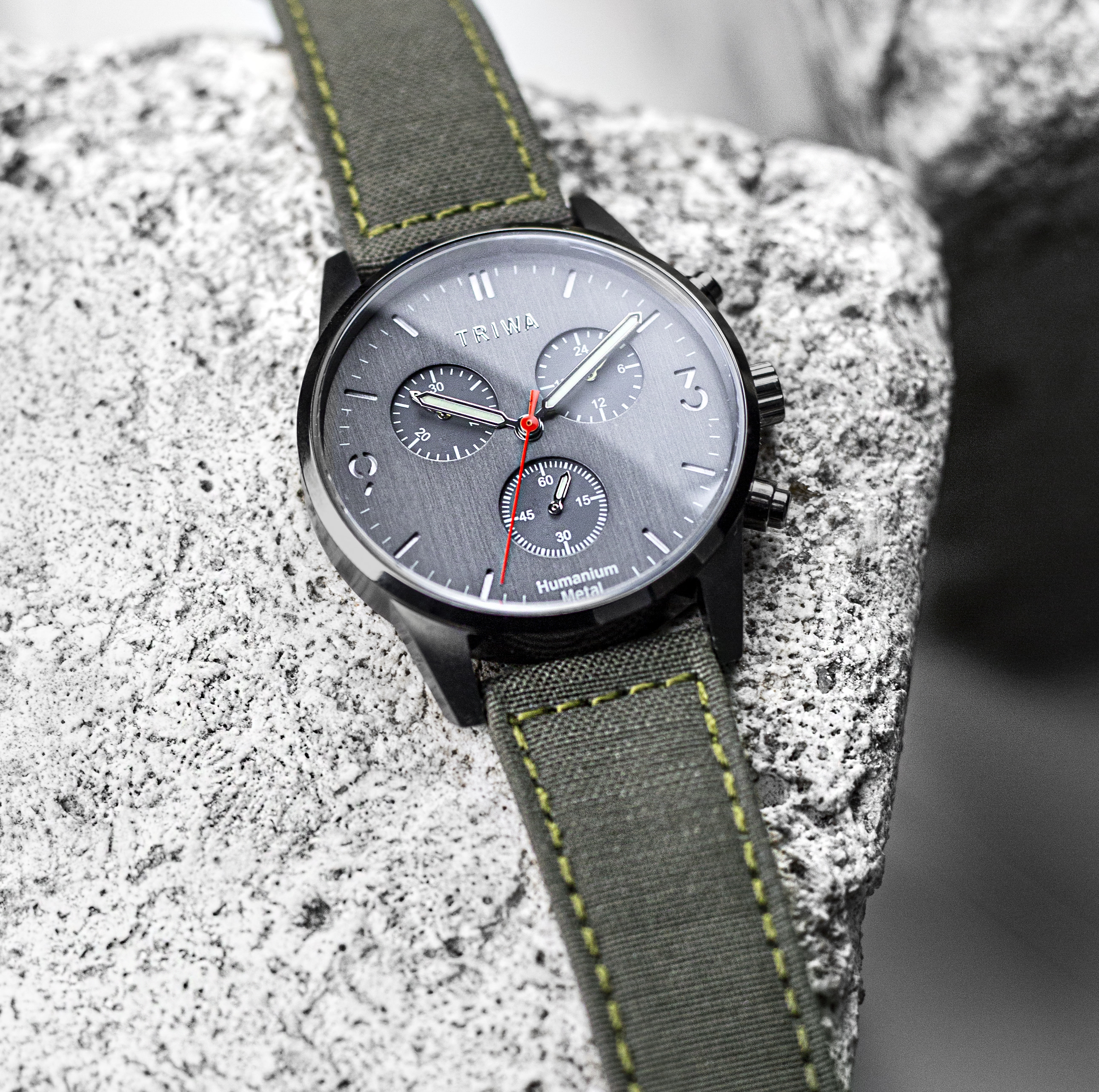 Kickstarter triwa discount
