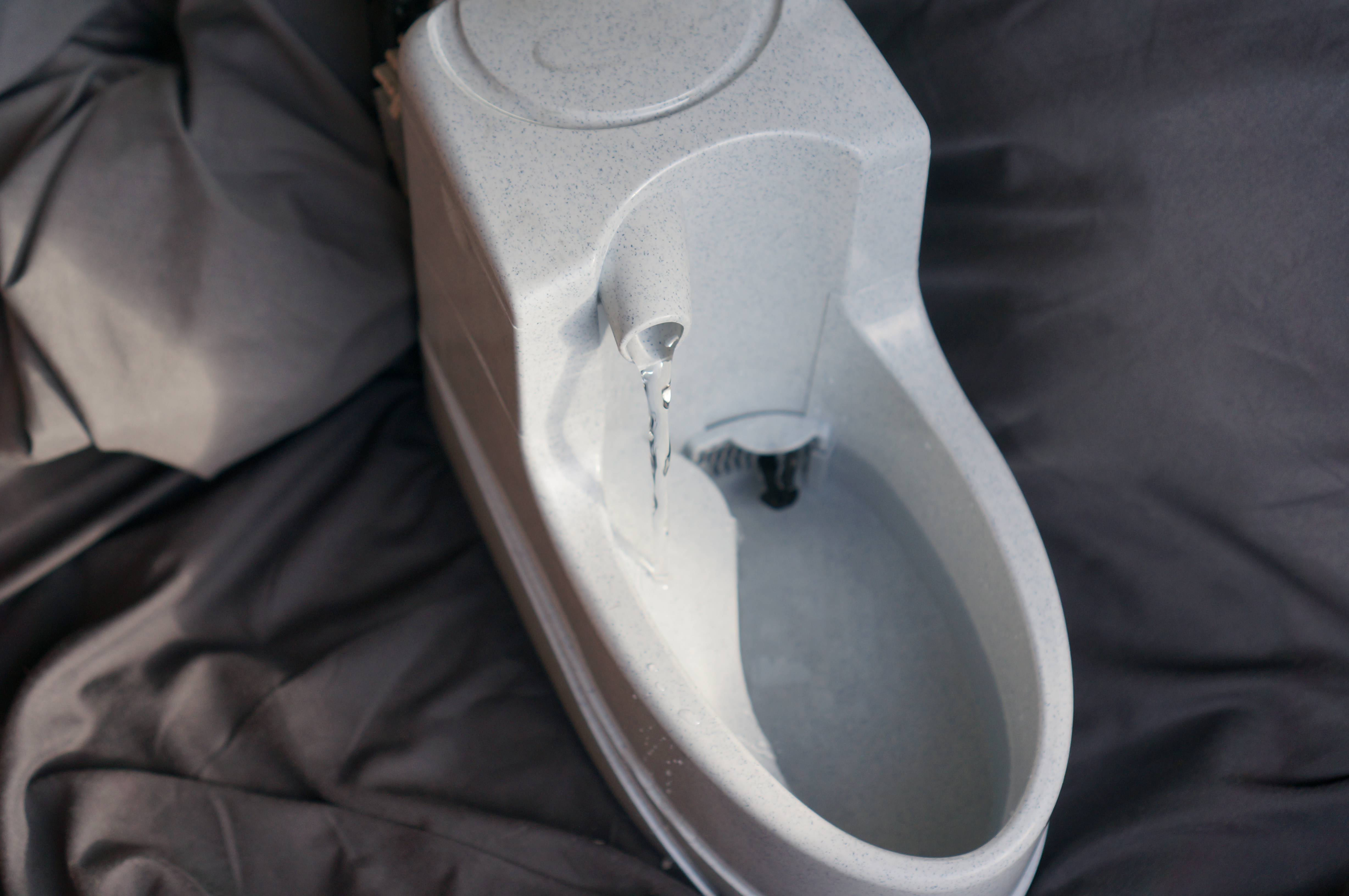 Glacial Water Pet Fountain Filtered And Ice Cold Indiegogo