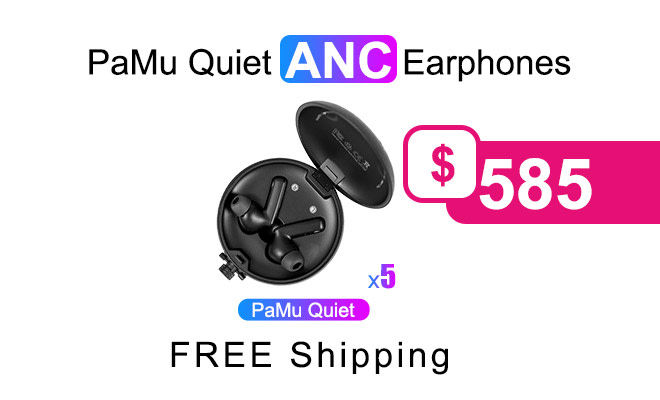 pamu quiet price