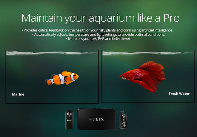 Felix hot sale smart aquarium